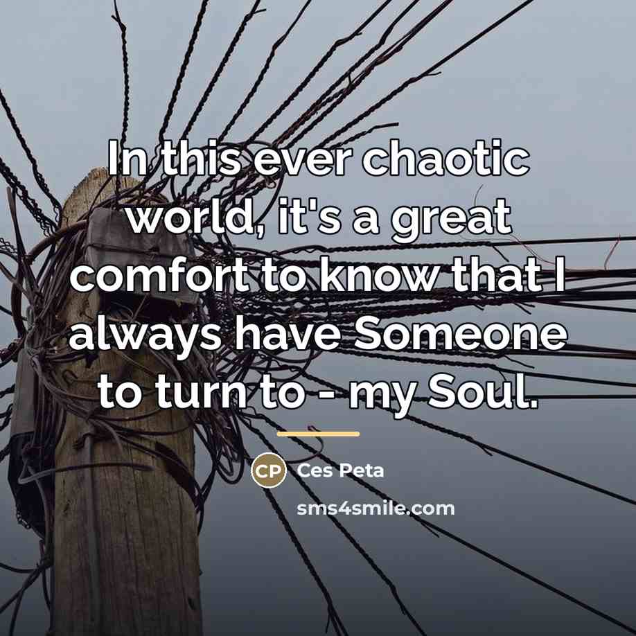 “In this ever chaotic world, it's a great comfort to…” quote by Ces Peta