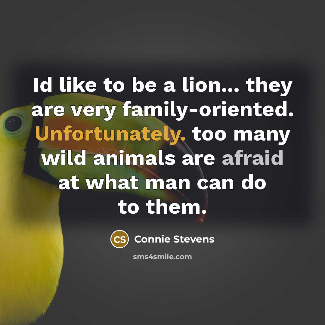 “Id like to be a lion... they are very family-oriented.…” quote by Connie Stevens