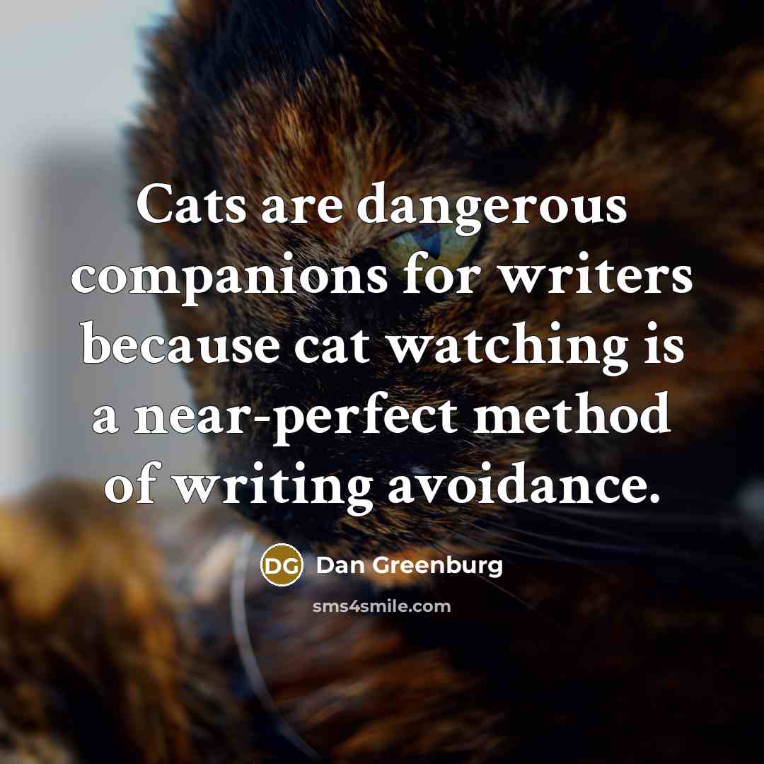 “Cats are dangerous companions for writers because cat watching is…” quote by Dan Greenburg
