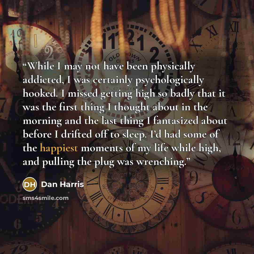 “While I may not have been physically addicted, I was certainly psychologically hooked. I missed getting high so badly that it was the first thing I thought about in the morning and the last thing I fantasized about before I drifted off to sleep. I’d had some of the happiest moments of my life…” quote by Dan Harris