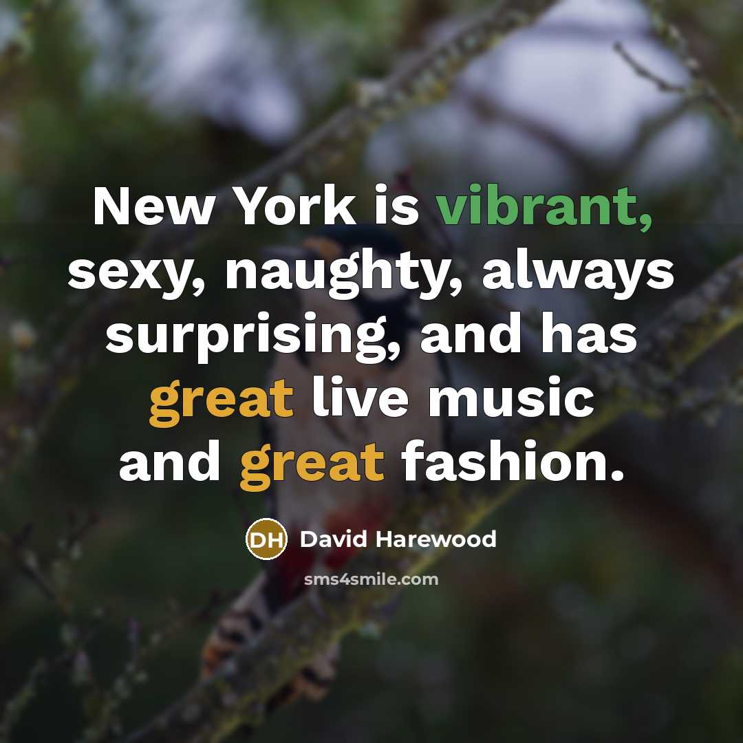 “New York is vibrant, sexy, naughty, always surprising, and has…” quote by David Harewood
