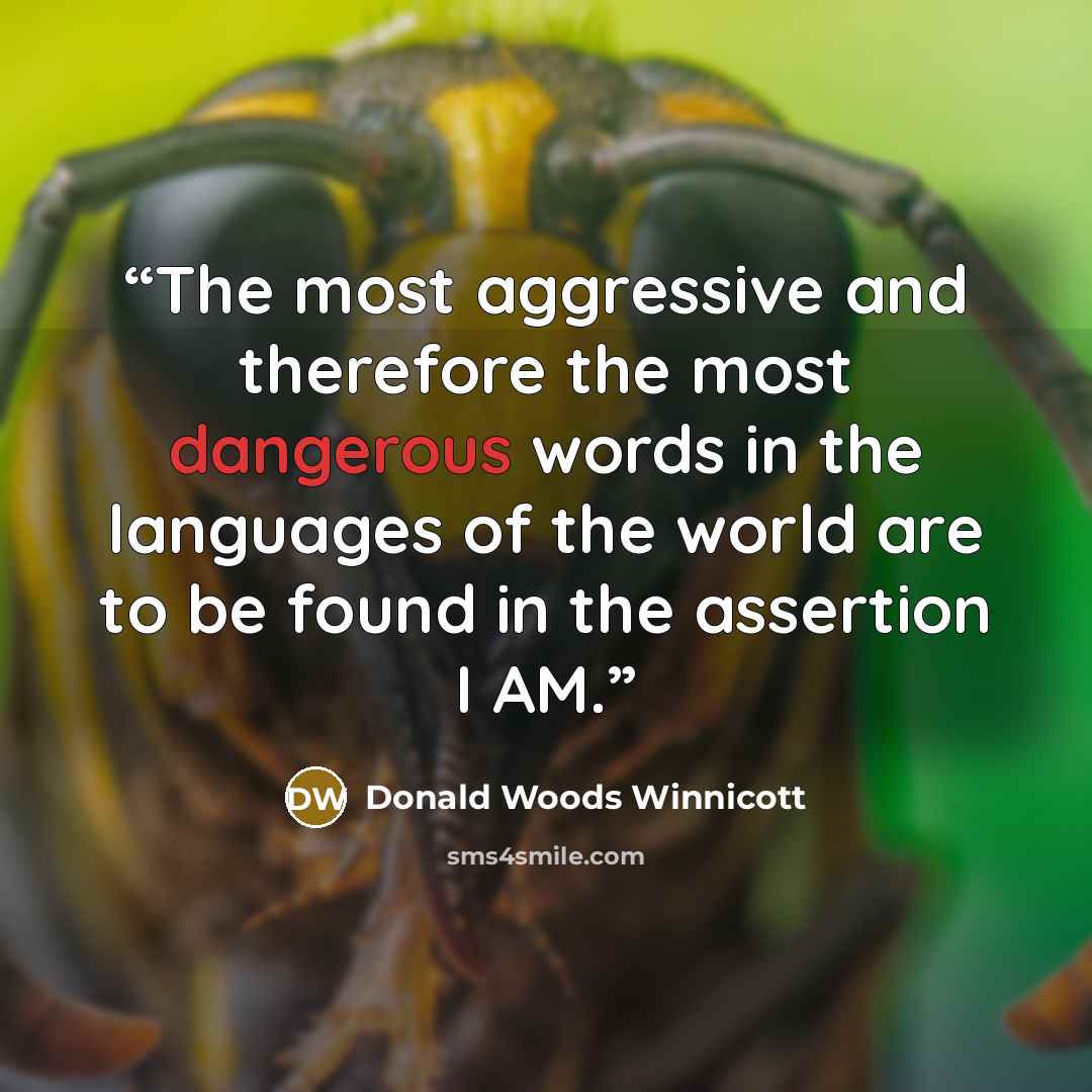 “The most aggressive and therefore the most dangerous words in the languages of the world are to be found in the assertion I AM.” quote by Donald Woods Winnicott