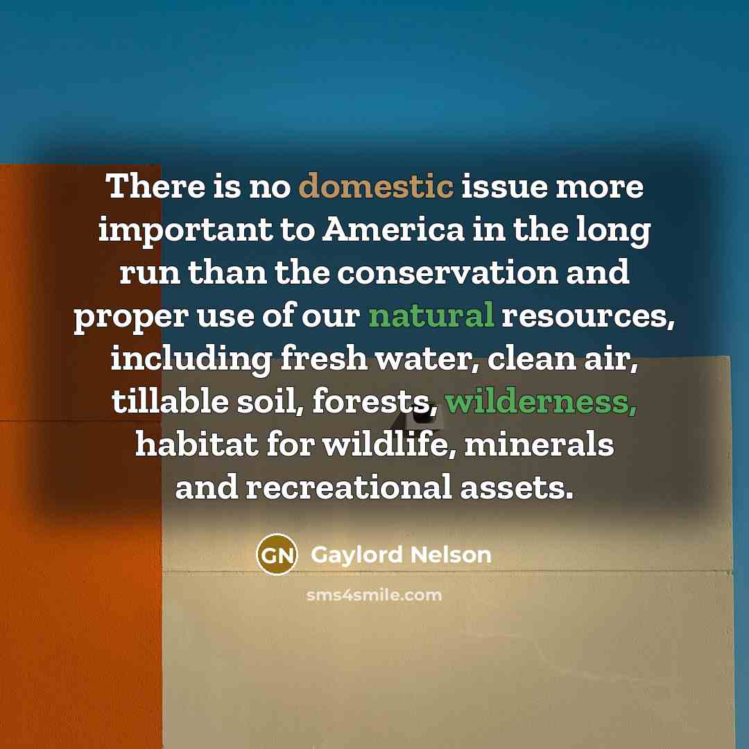 “There is no domestic issue more important to America in…” quote by Gaylord Nelson