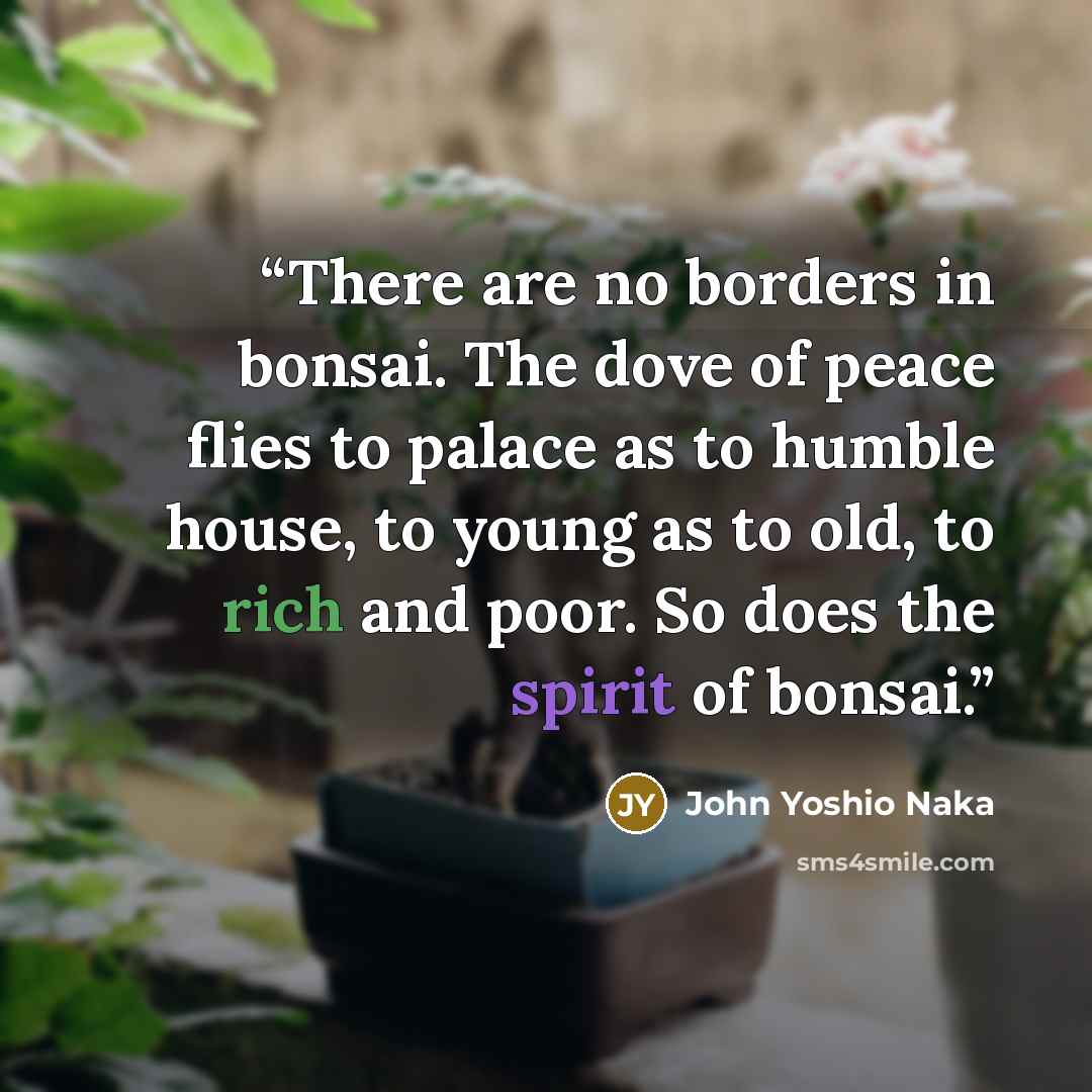 “There are no borders in bonsai. The dove of peace flies to palace as to humble house, to young as to old, to rich and poor. So does the spirit of bonsai.” quote by John Yoshio Naka