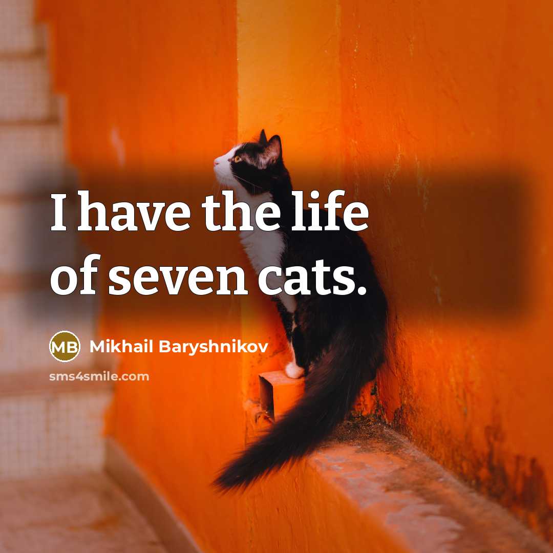 “I have the life of seven cats.…” quote by Mikhail Baryshnikov