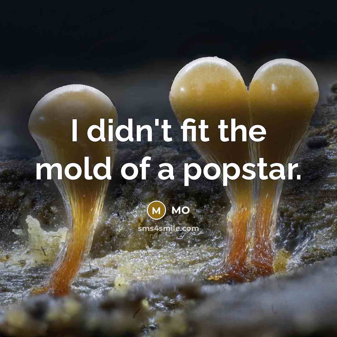 “I didn't fit the mold of a popstar.…” quote by MO