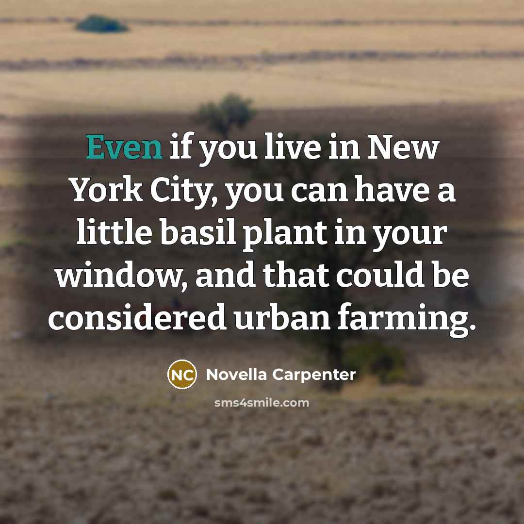 “Even if you live in New York City, you can…” quote by Novella Carpenter