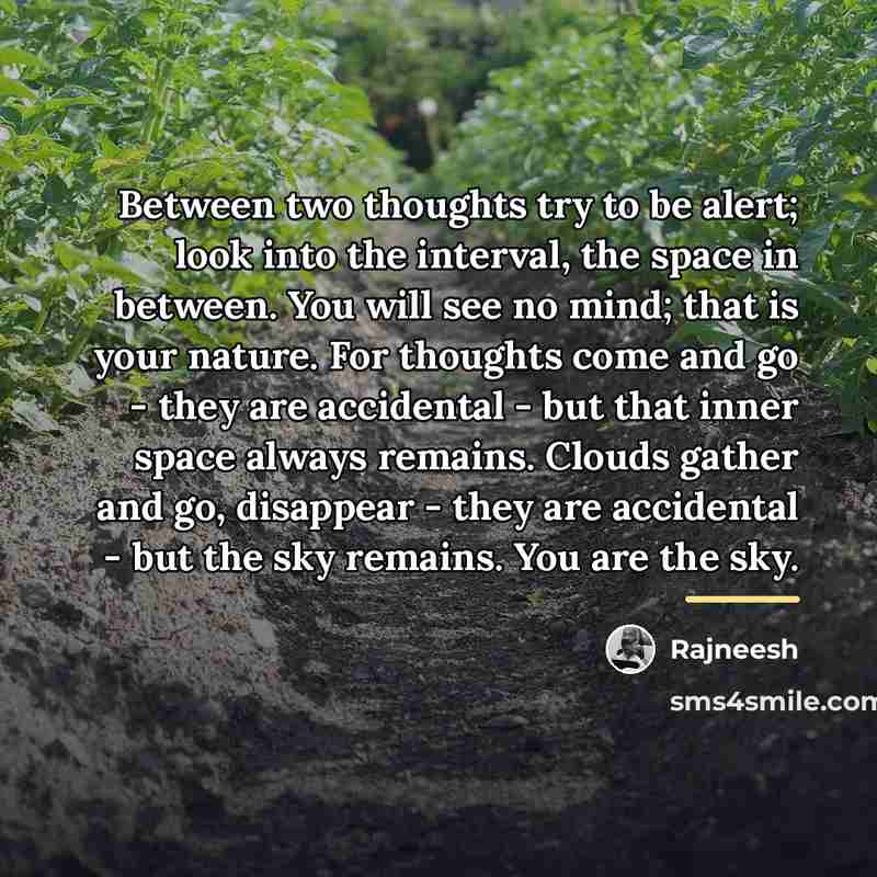 “Between two thoughts try to be alert; look into the…” quote by Rajneesh