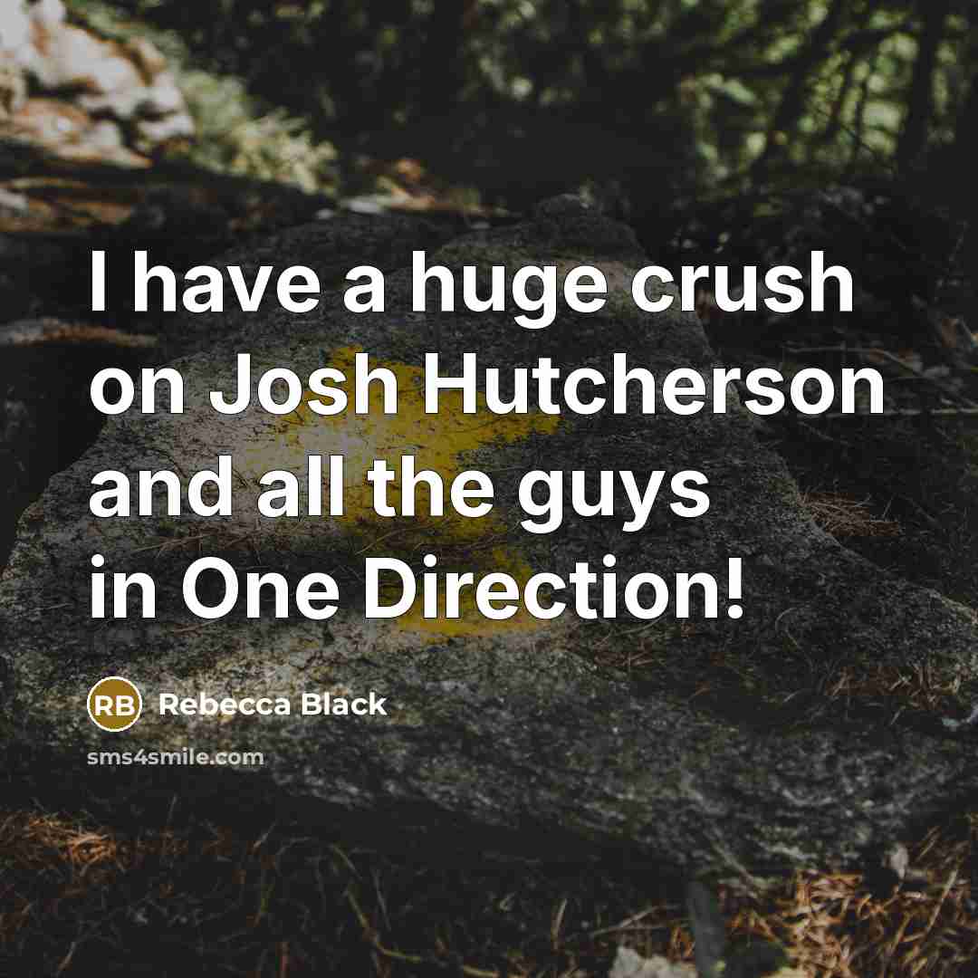 “I have a huge crush on Josh Hutcherson and all…” quote by Rebecca Black
