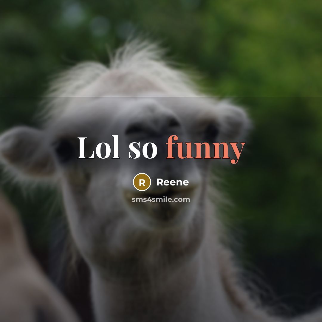 “Lol so funny” quote by Reene