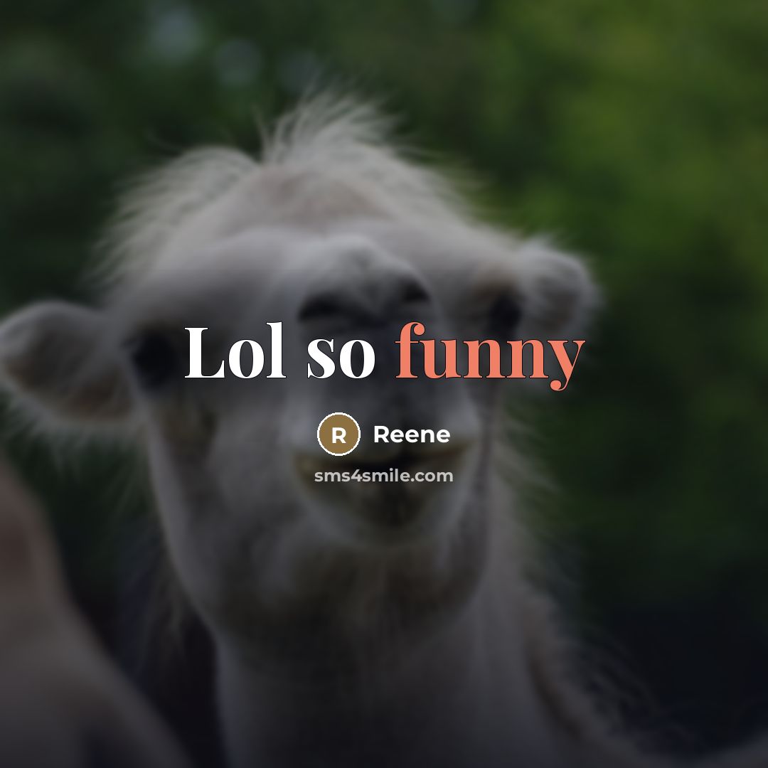 “Lol so funny…” quote by Reene