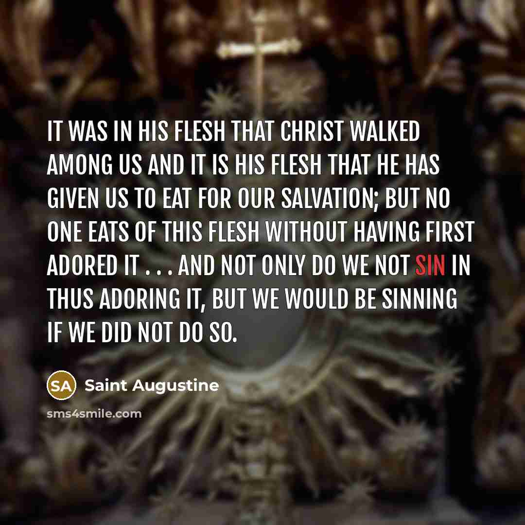 “It was in His flesh that Christ walked among us…” quote by Saint Augustine