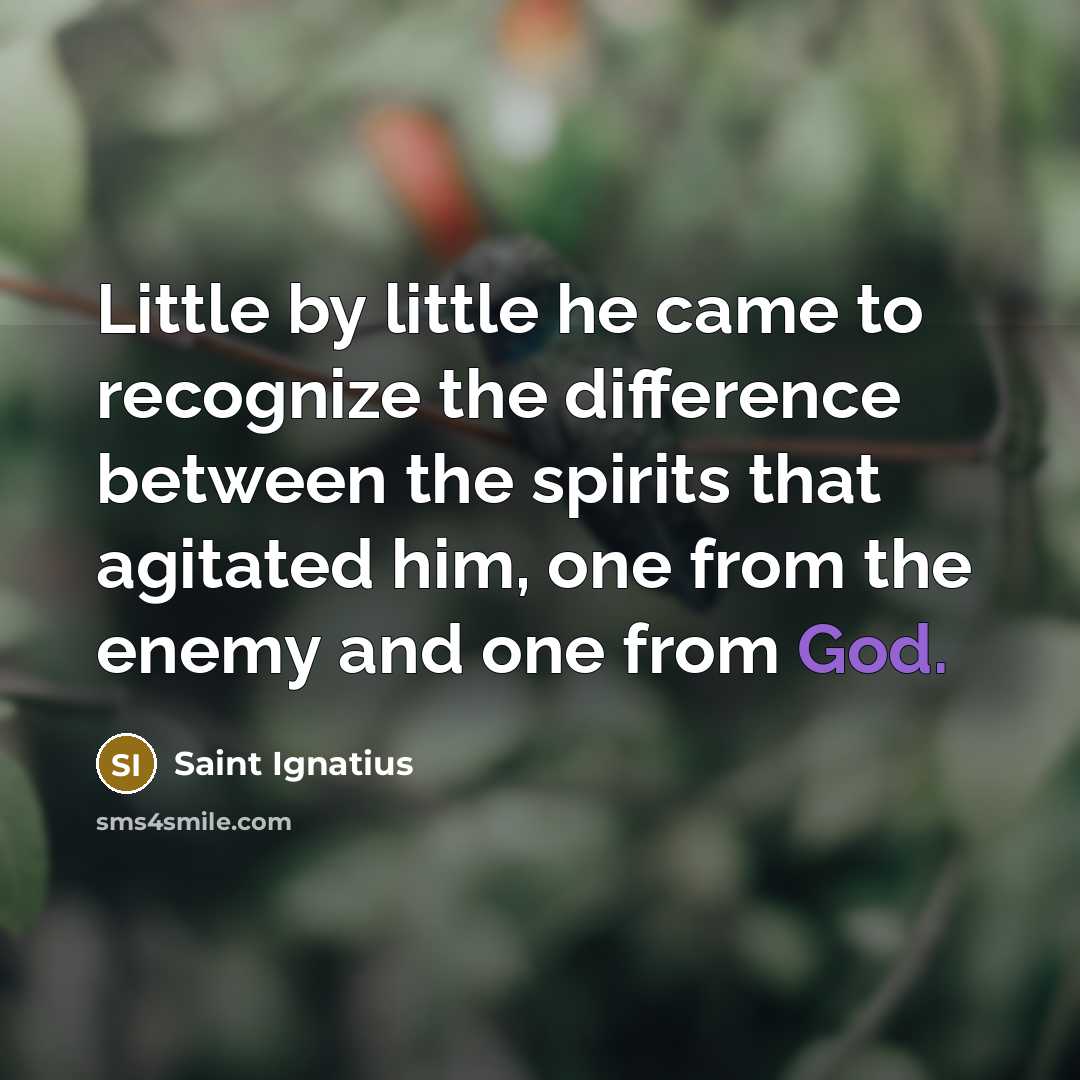 “Little by little he came to recognize the difference between…” quote by Saint Ignatius