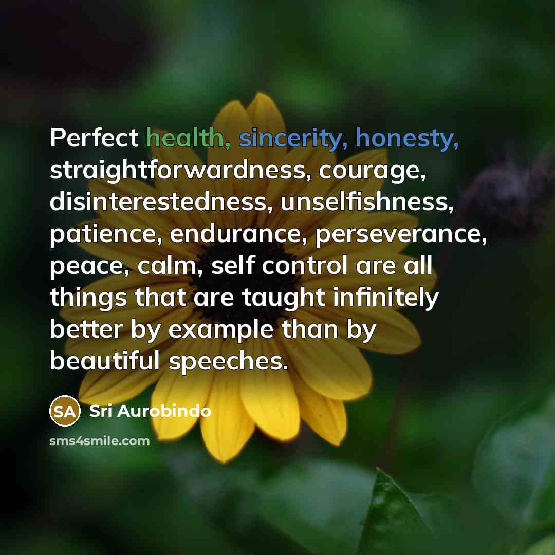“Perfect health, sincerity, honesty, straightforwardness, courage, disinterestedness, unselfishness, patience, endurance,…” quote by Sri Aurobindo