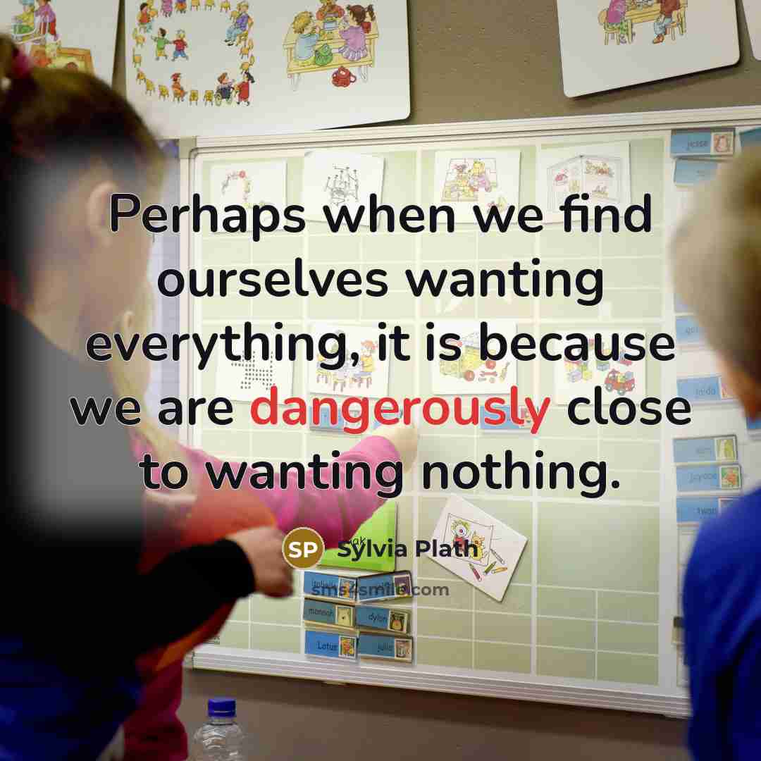 “Perhaps when we find ourselves wanting everything, it is because we are dangerously close to wanting nothing.” quote by Sylvia Plath