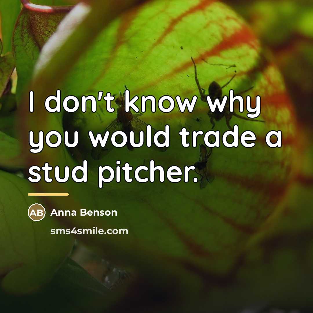 “I don't know why you would trade a stud pitcher.…” quote by Anna Benson