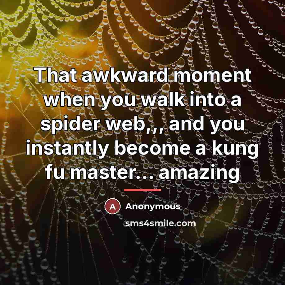 “That awkward moment when you walk into a spider web,,,…” quote by Anonymous