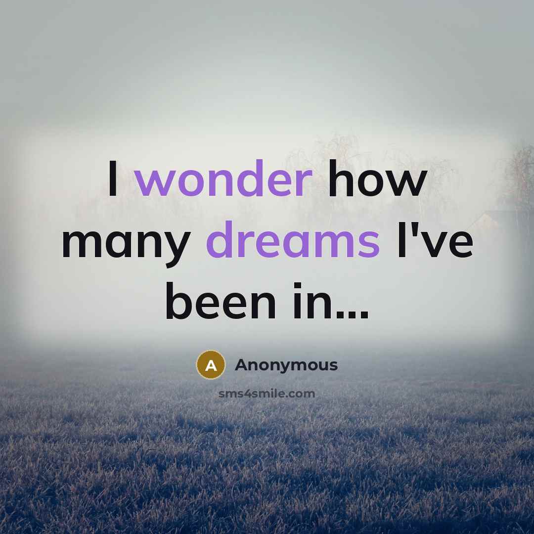 “I wonder how many dreams I've been in...” quote by Anonymous