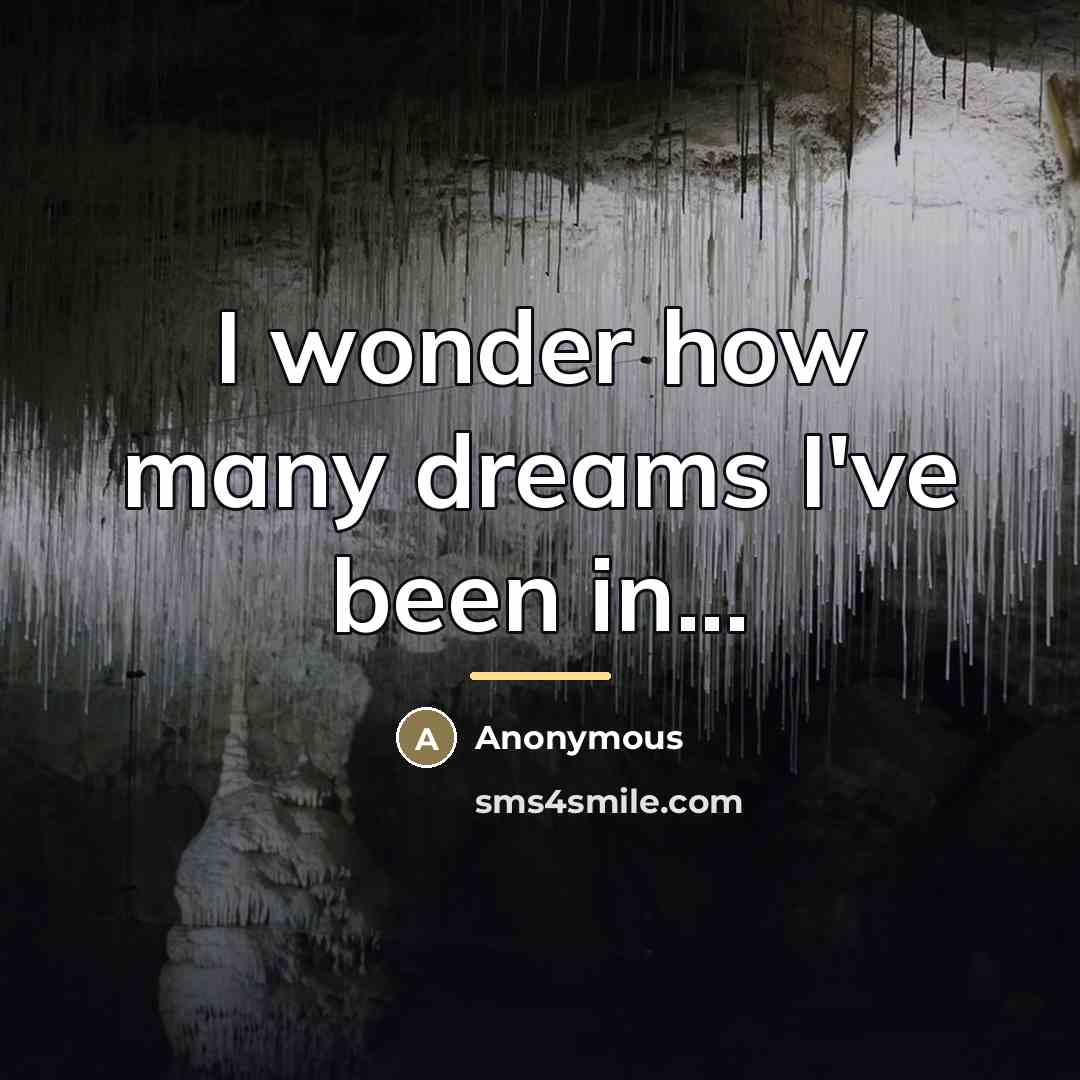 “I wonder how many dreams I've been in...…” quote by Anonymous