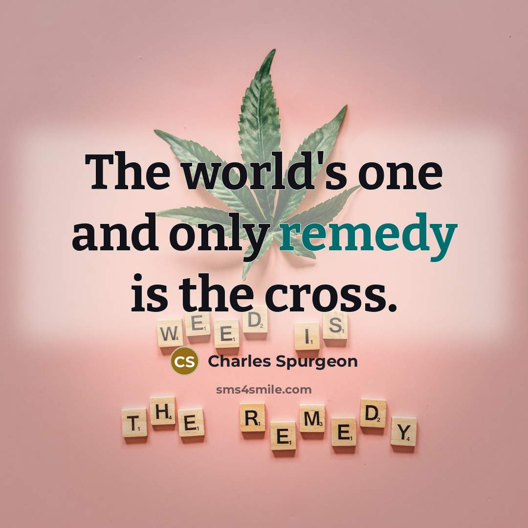 “The world's one and only remedy is the cross.…” quote by Charles Spurgeon