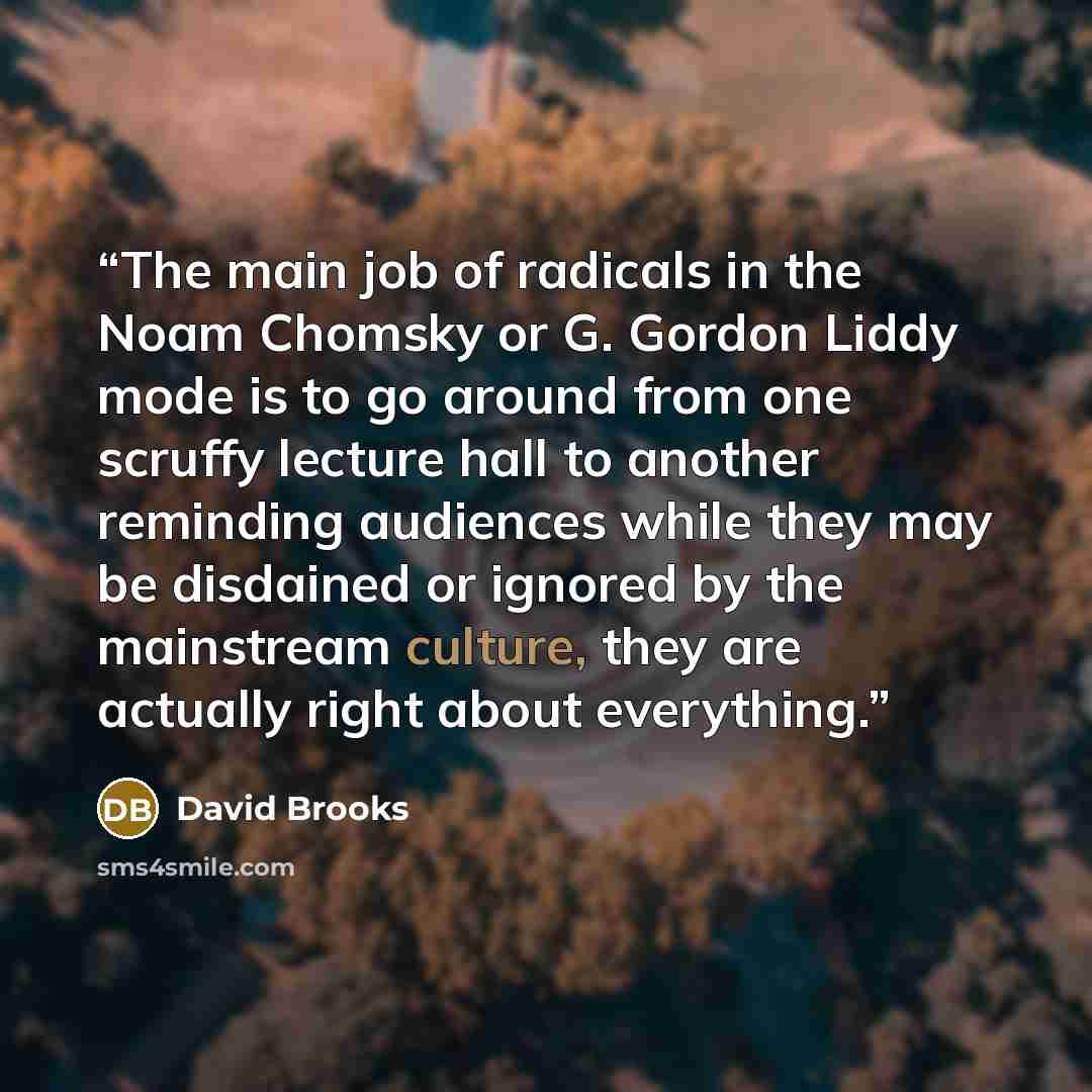 “The main job of radicals in the Noam Chomsky or G. Gordon Liddy mode is to go around from one scruffy lecture hall to another reminding audiences while they may be disdained or ignored by the mainstream culture, they are actually right about everything.” quote by David Brooks