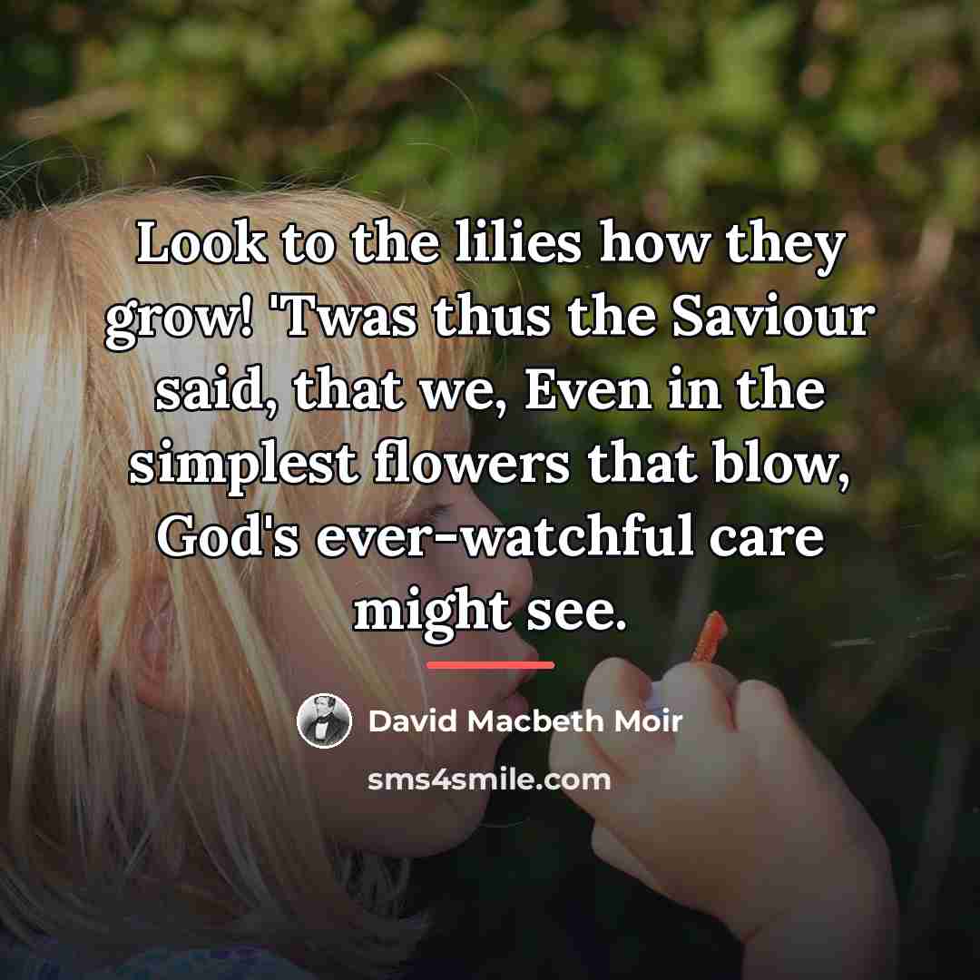 “Look to the lilies how they grow! 'Twas thus the…” quote by David Macbeth Moir