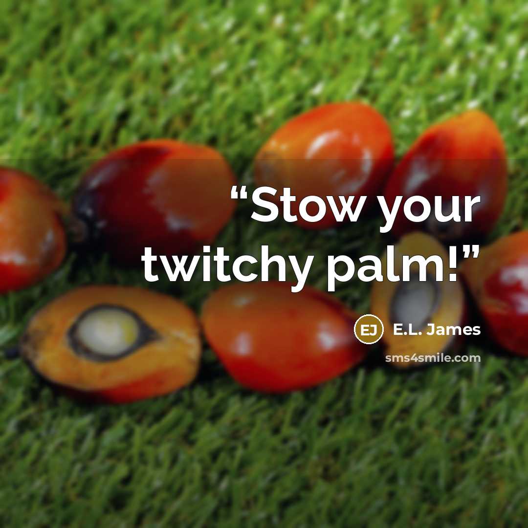 “Stow your twitchy palm!” quote by E.L. James