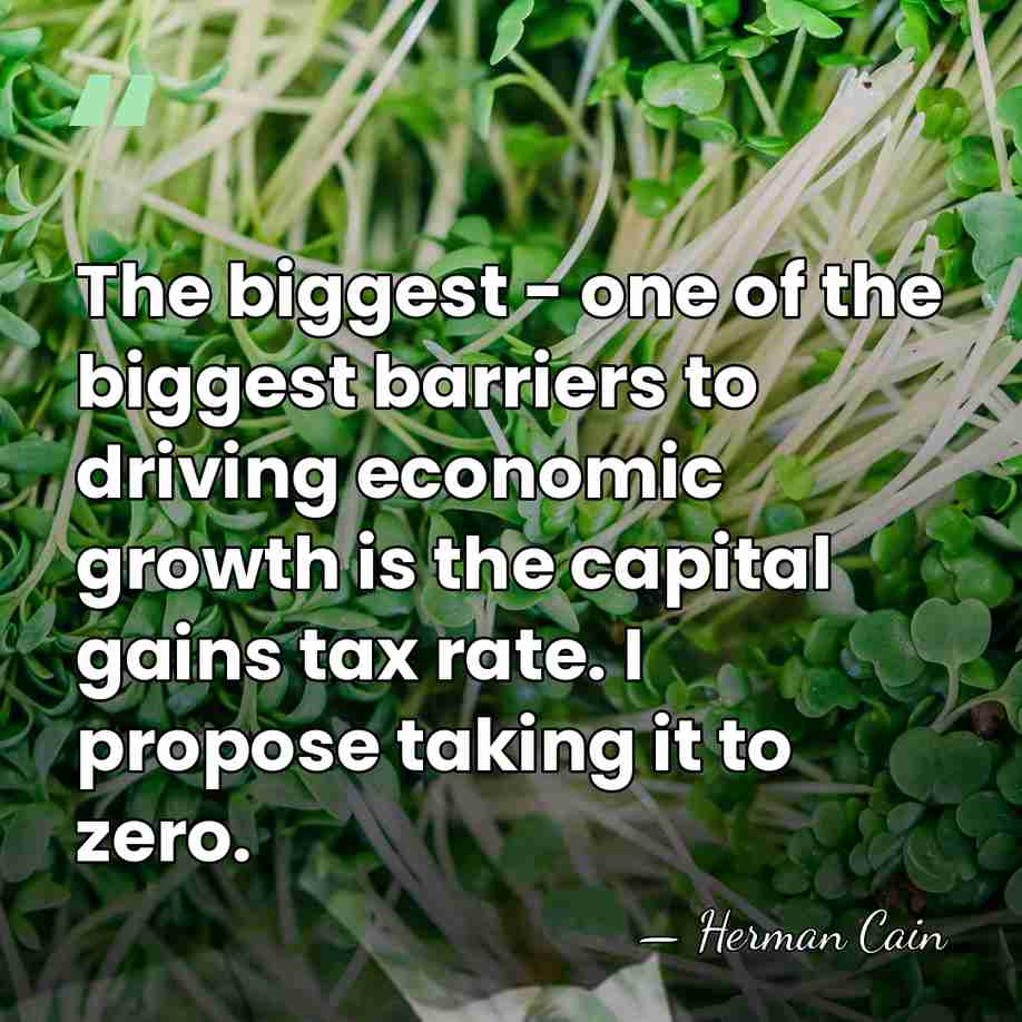 The biggest - one of the biggest barriers to driving economic growth&hellip; - Herman Cain