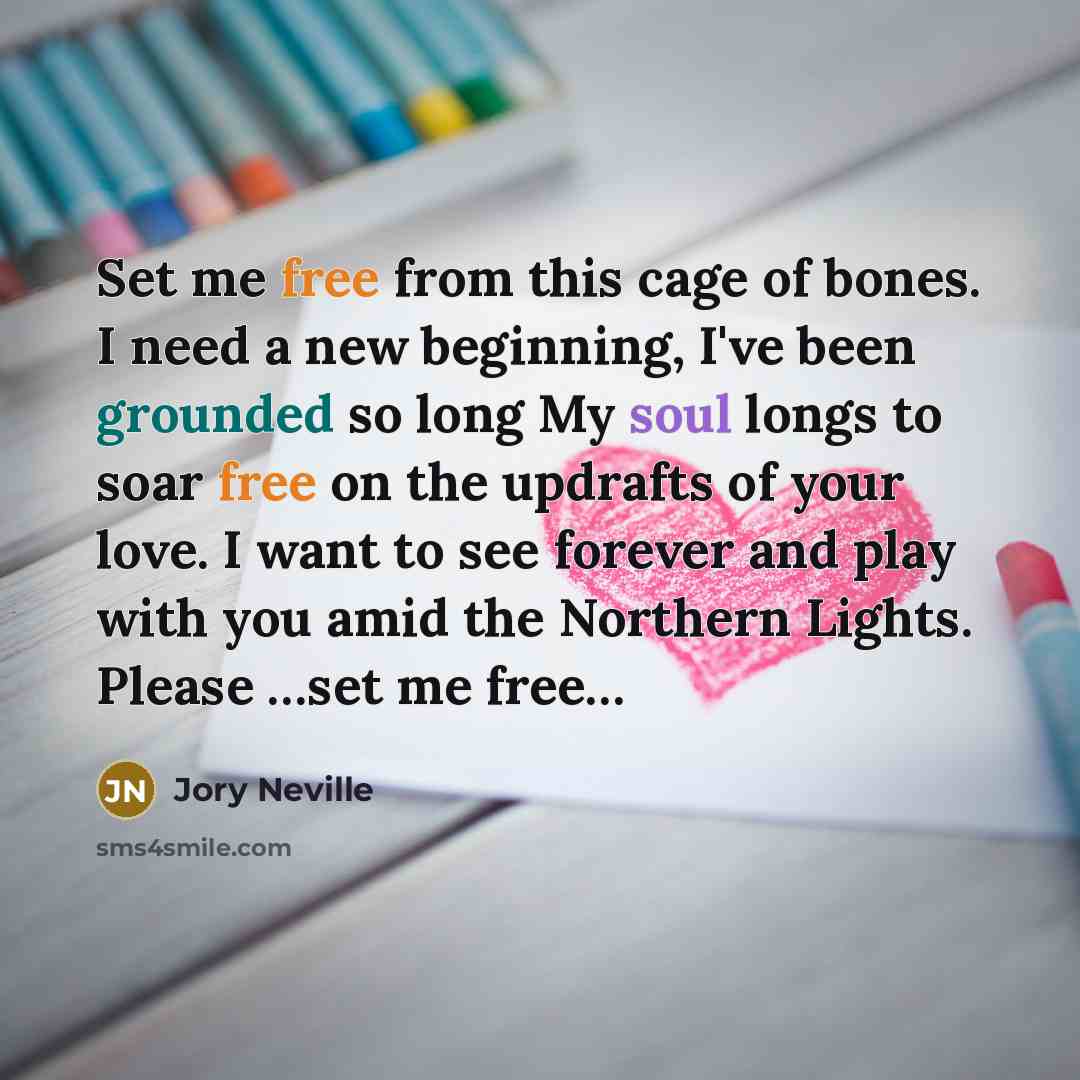“Set me free from this cage of bones. I need a new beginning, I've been grounded so long My soul longs to soar free on the updrafts of your love. I want to see forever and play with you amid the Northern Lights. Please …set me free…” quote by Jory Neville