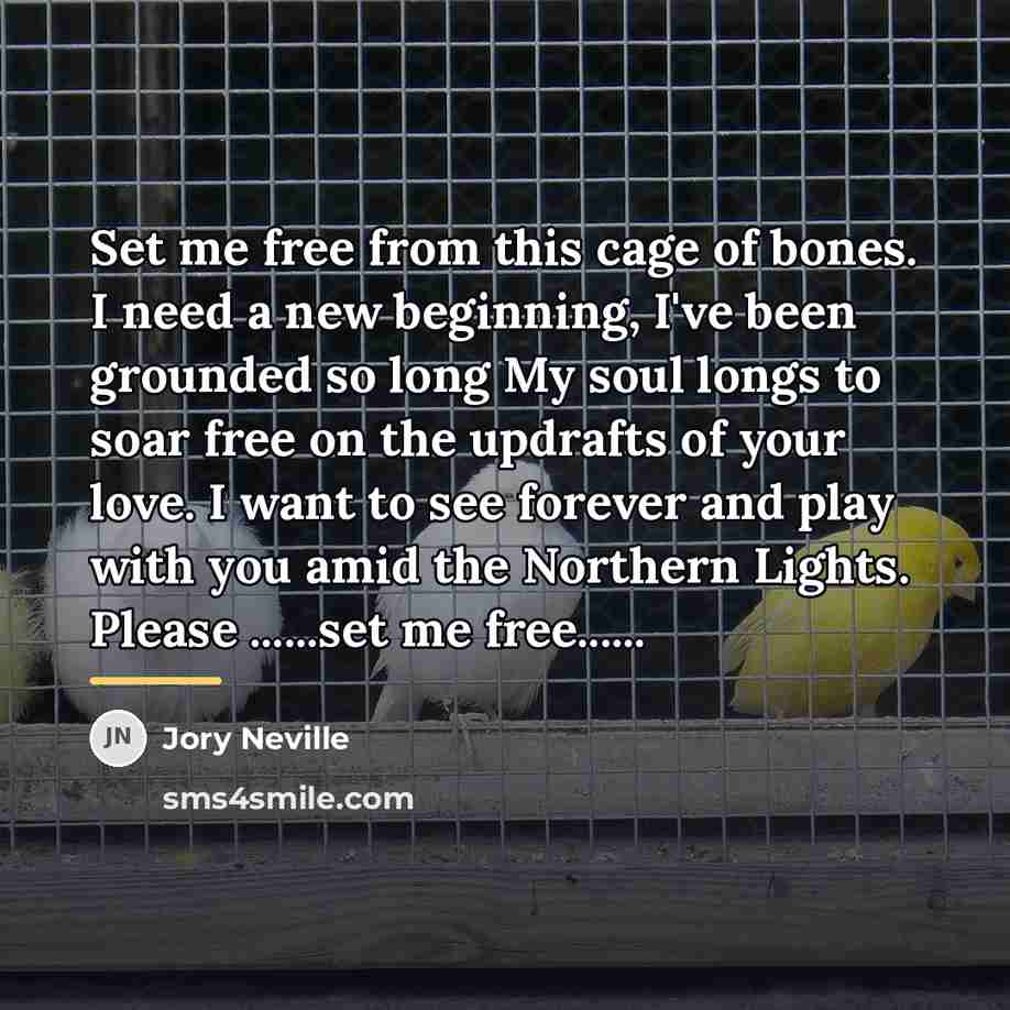 “Set me free from this cage of bones. I need…” quote by Jory Neville