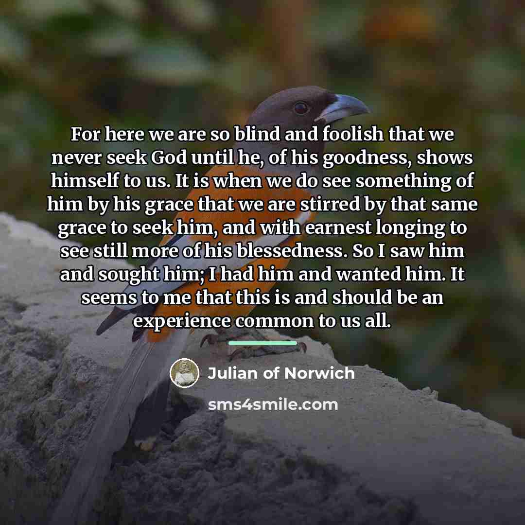 “For here we are so blind and foolish that we…” quote by Julian of Norwich