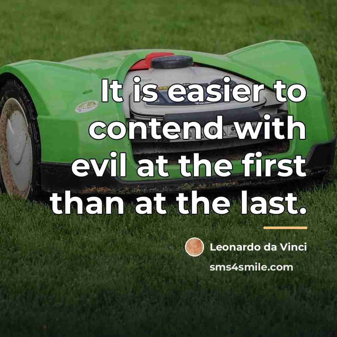 “It is easier to contend with evil at the first…” quote by Leonardo da Vinci