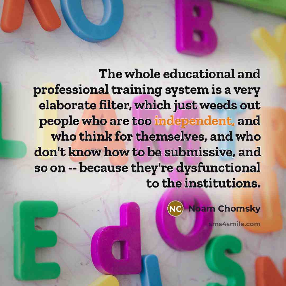 “The whole educational and professional training system is a very…” quote by Noam Chomsky