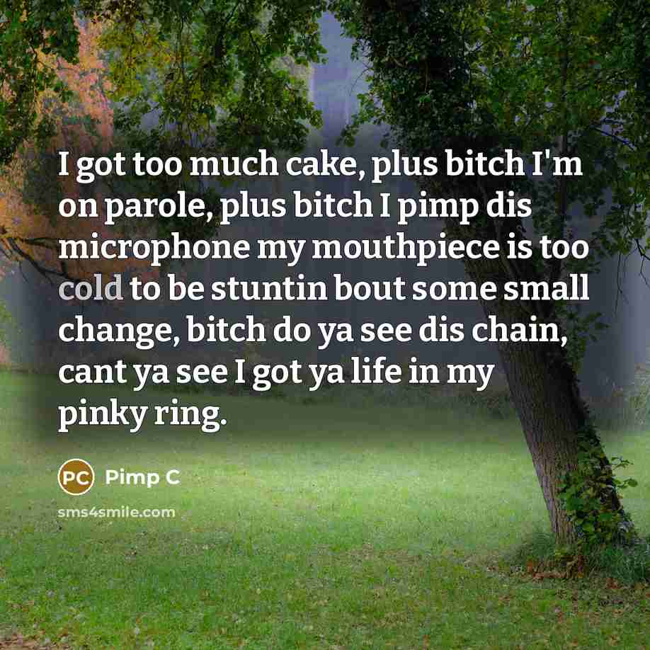 “I got too much cake, plus bitch I'm on parole,…” quote by Pimp C