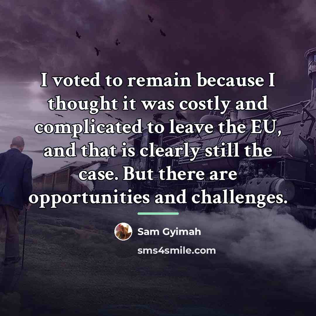 “I voted to remain because I thought it was costly…” quote by Sam Gyimah