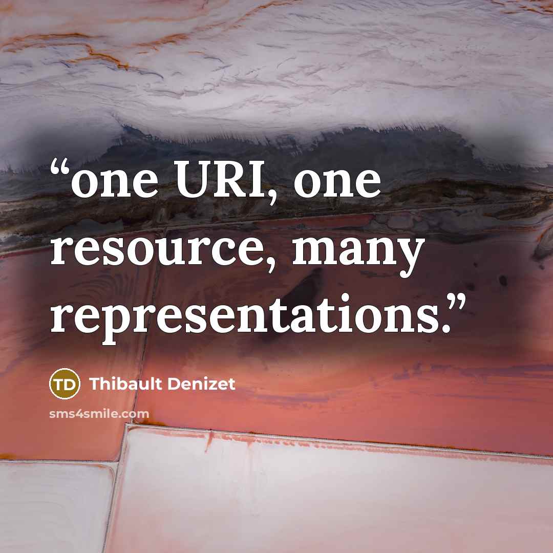 “one URI, one resource, many representations.” quote by Thibault Denizet