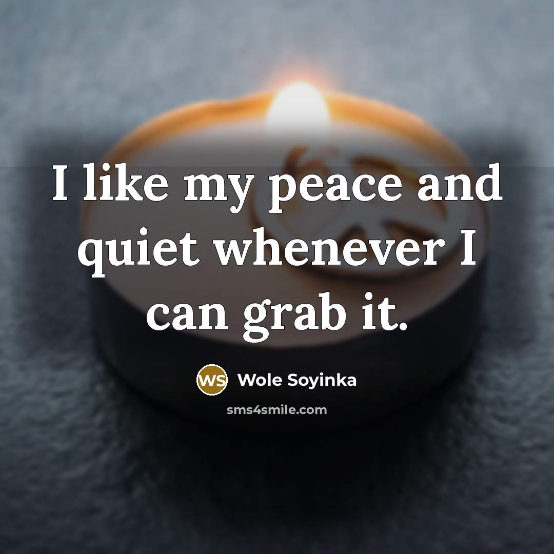 “I like my peace and quiet whenever I can grab…” quote by Wole Soyinka