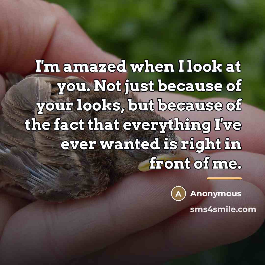 “I'm amazed when I look at you. Not just because…” quote by Anonymous