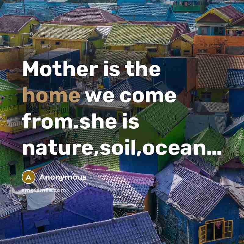 “Mother is the home we come from.she is nature,soil,ocean....…” quote by Anonymous