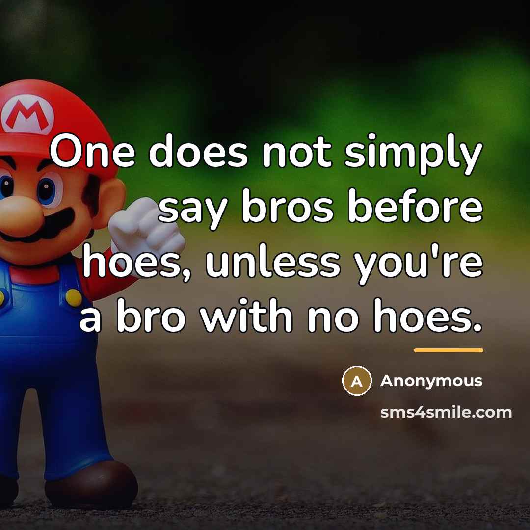“One does not simply say bros before hoes, unless you're…” quote by Anonymous