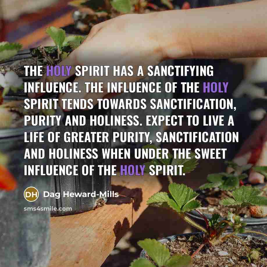 “The Holy Spirit has a sanctifying influence. The influence of…” quote by Dag Heward-Mills