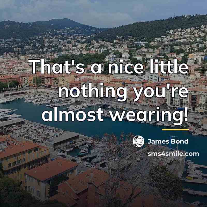 “That's a nice little nothing you're almost wearing!…” quote by James Bond