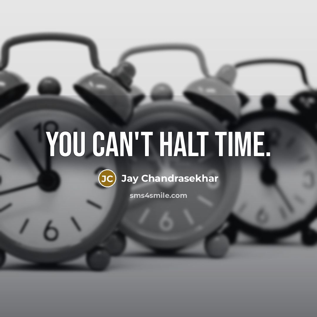 “You can't halt time.…” quote by Jay Chandrasekhar