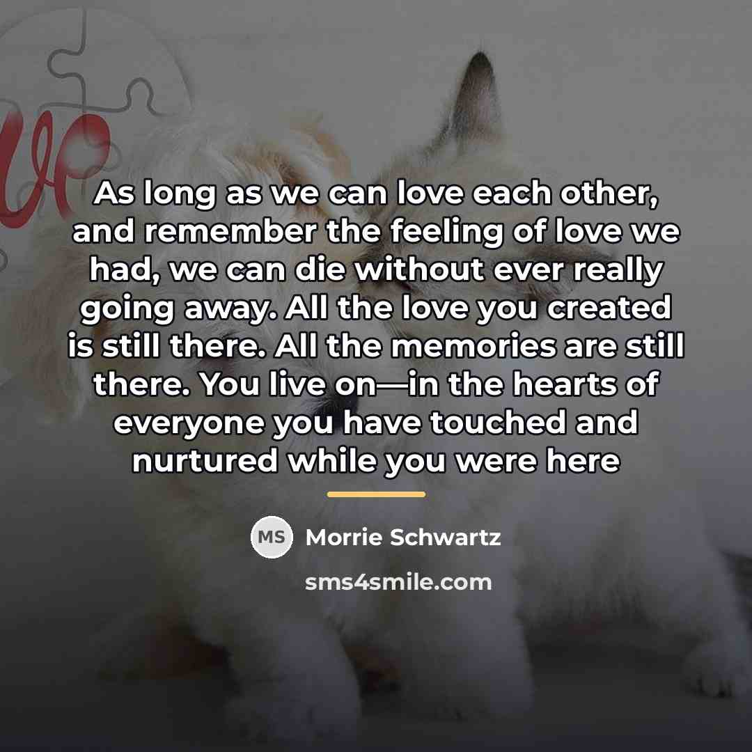 “As long as we can love each other, and remember…” quote by Morrie Schwartz