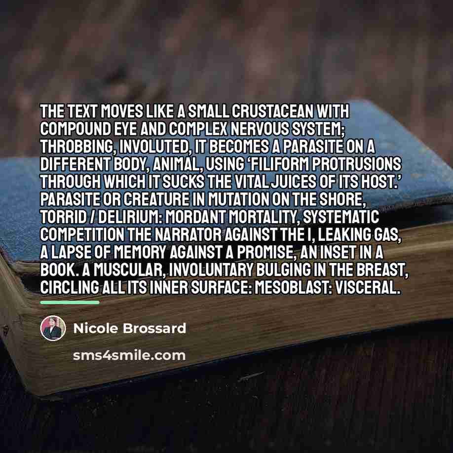 “The text moves like a small crustacean with compound eye…” quote by Nicole Brossard