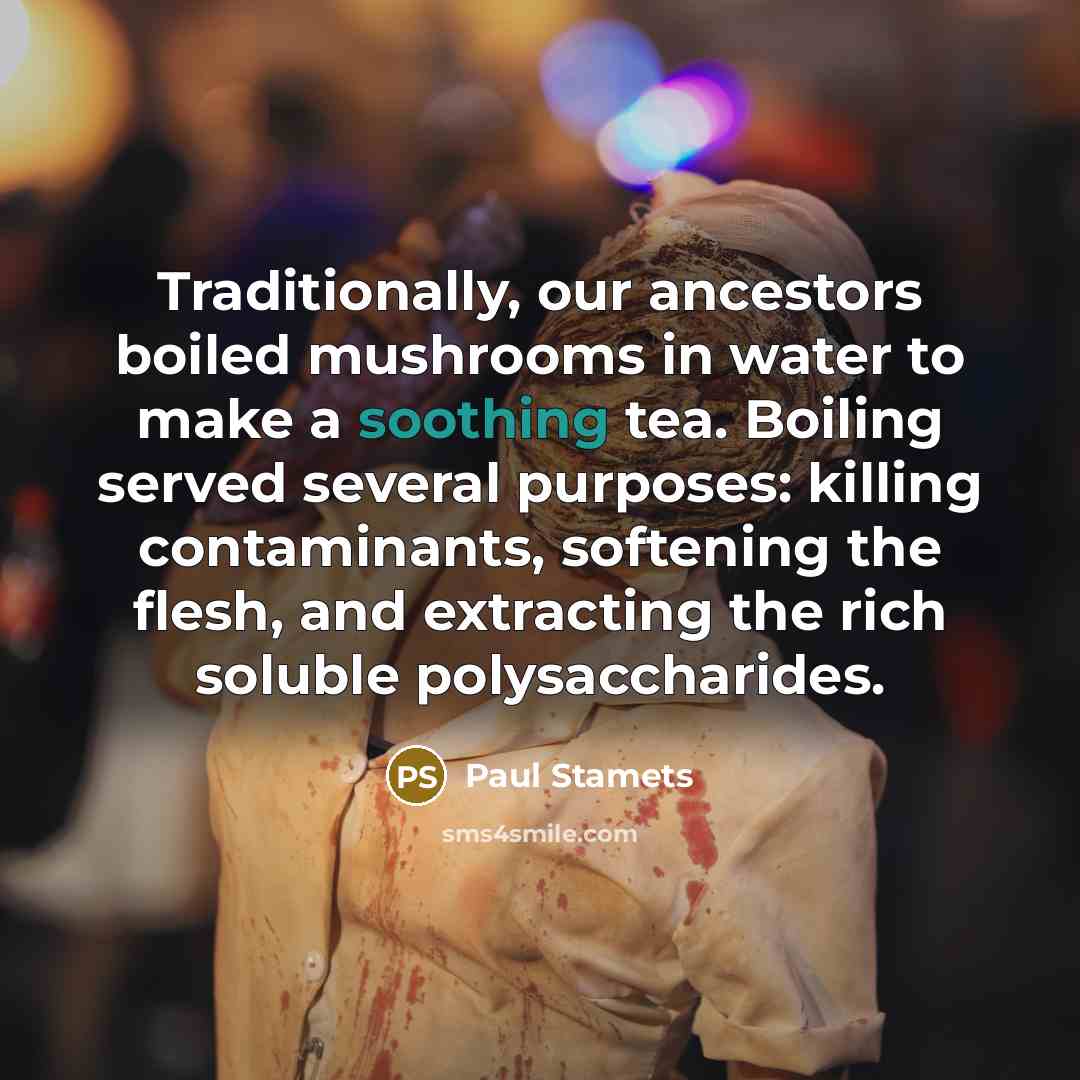 “Traditionally, our ancestors boiled mushrooms in water to make a…” quote by Paul Stamets
