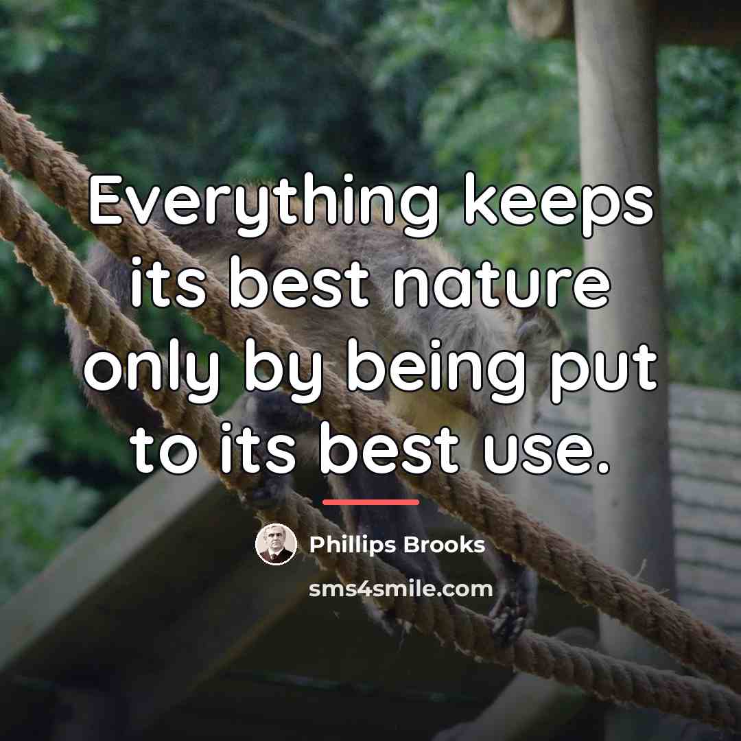 “Everything keeps its best nature only by being put to…” quote by Phillips Brooks