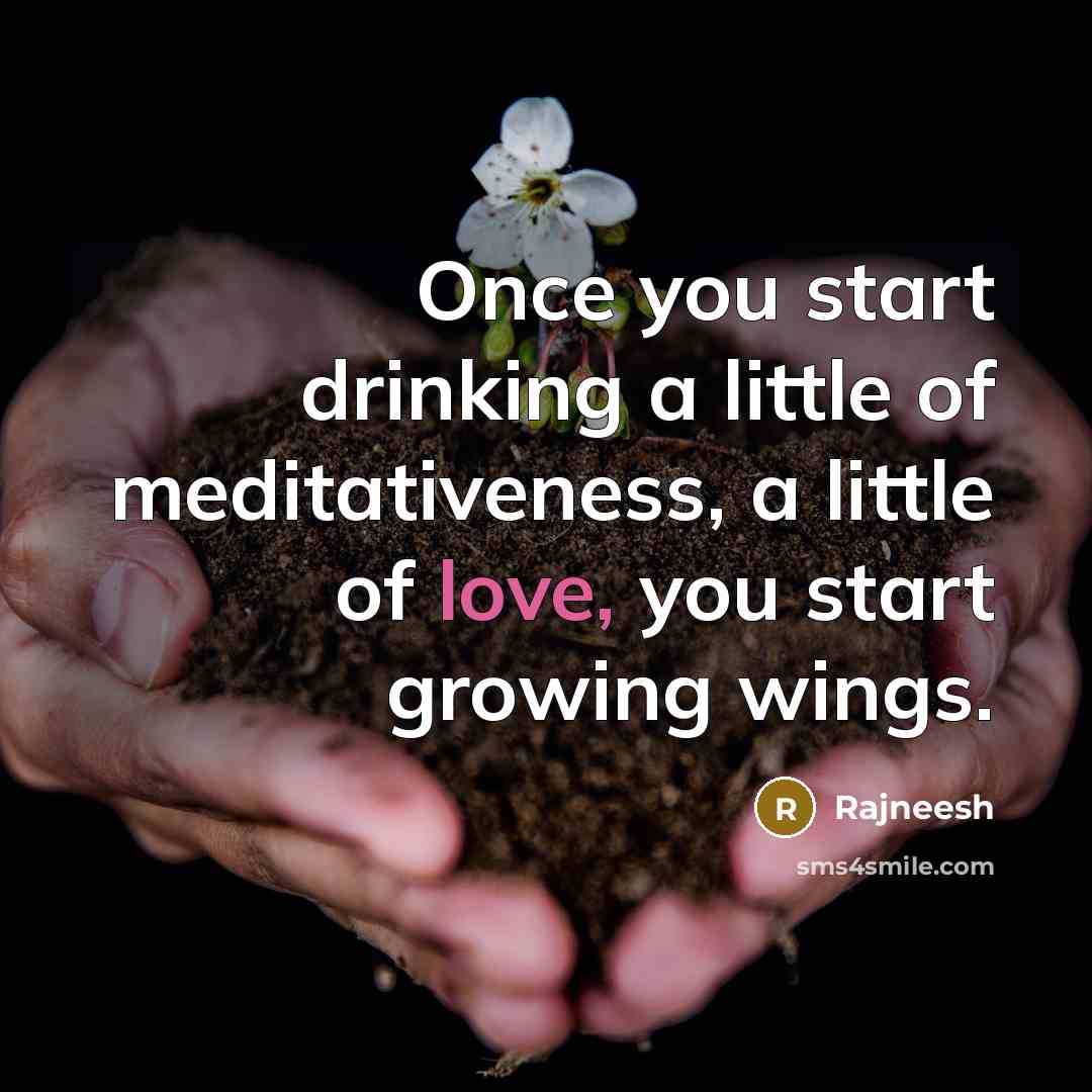 “Once you start drinking a little of meditativeness, a little…” quote by Rajneesh