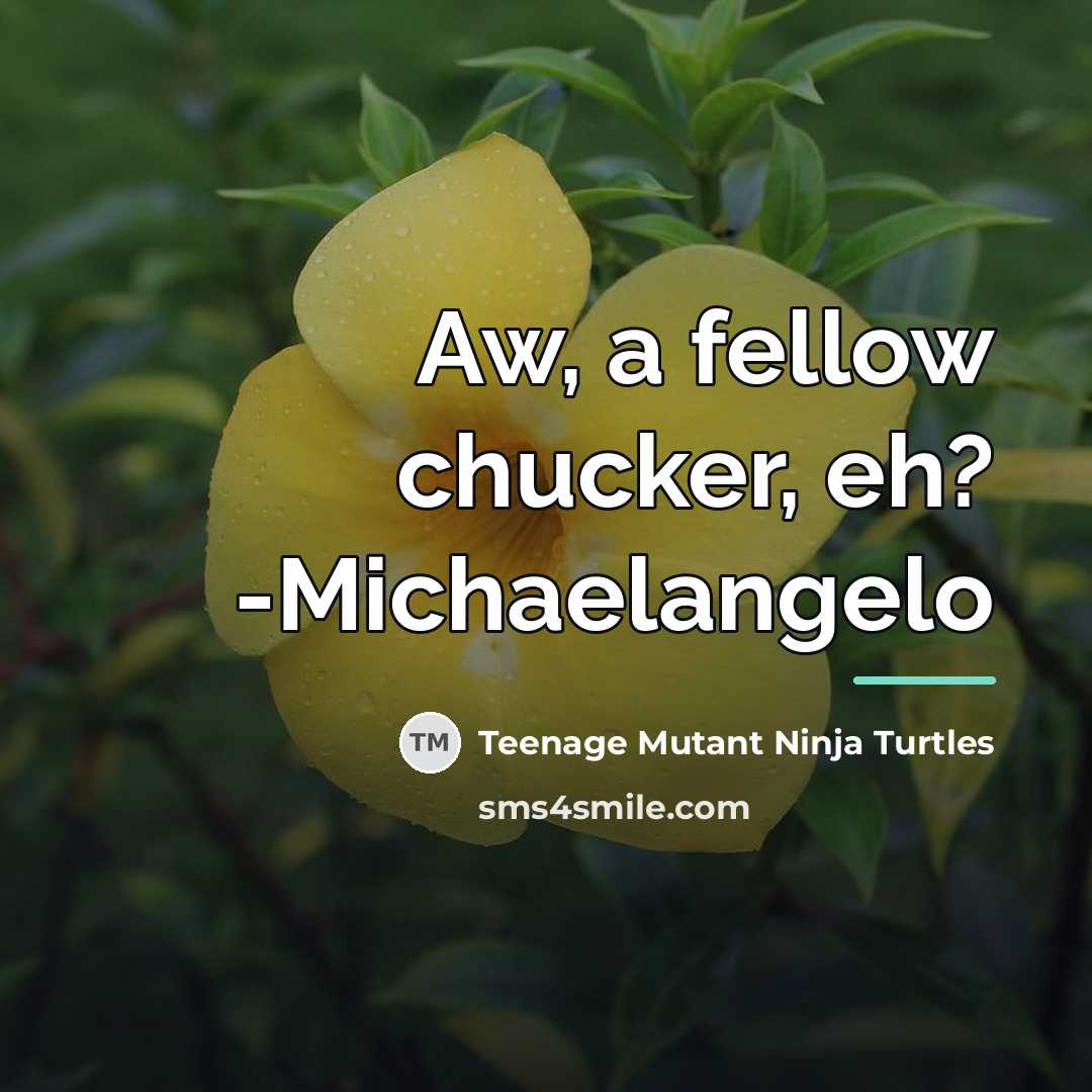 “Aw, a fellow chucker, eh? -Michaelangelo…” quote by Teenage Mutant Ninja Turtles