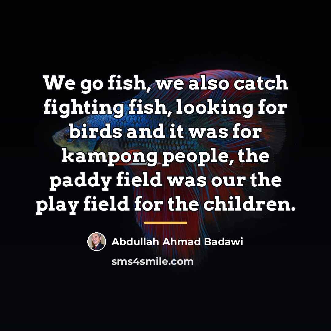 “We go fish, we also catch fighting fish, looking for…” quote by Abdullah Ahmad Badawi